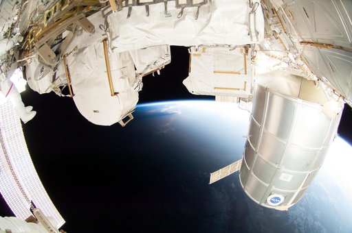 Wiseman during EVA