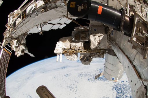 Wiseman during EVA