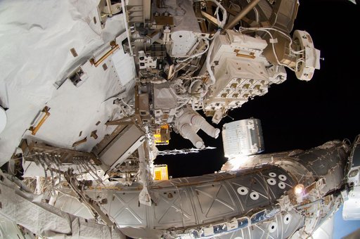 Wiseman during EVA