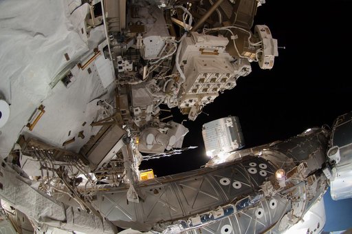 Wiseman during EVA