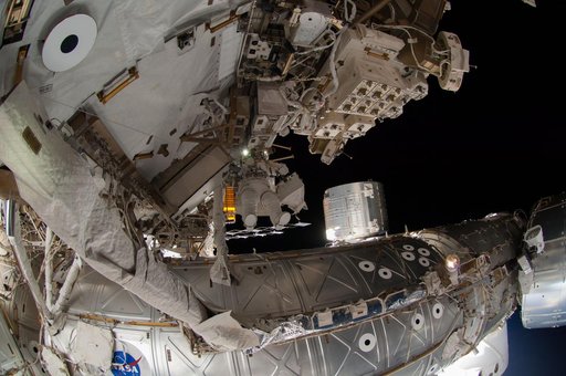 Wiseman during EVA