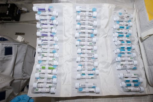 Microbiome Body Sampling Operations