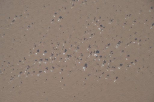 iss042e049179