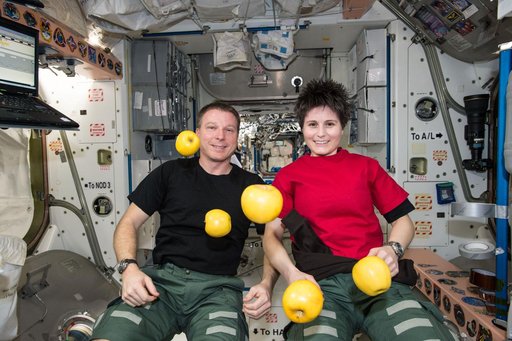 Virts and Cristoforetti in Node 1