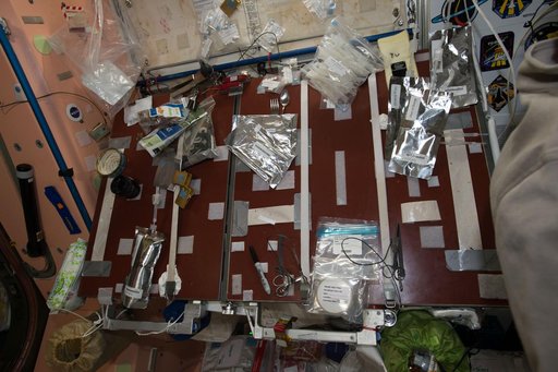 Microbial Observatory - 1 sample collection.