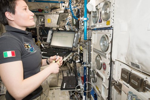 Gene, Immune and Cellular Responses to Single and Combined Space Flight Conditions-B (TripleLux-B):