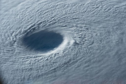 Typhoon Maysak