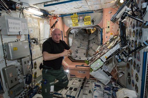 Kelly in Node 1 for meal time