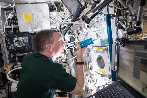 BP Reg Experiment Operations