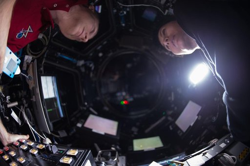 SPX-6 Capture and Berthing