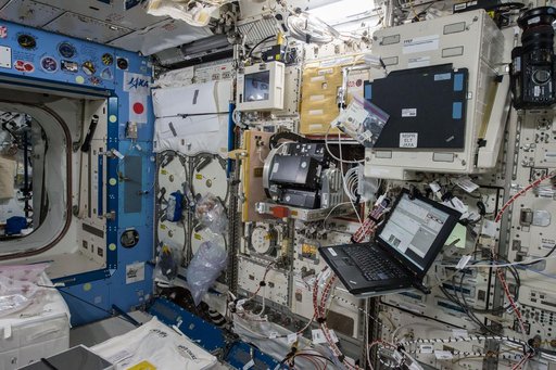 Study of the Effects of Spaceflight on the Aging of C. elegans (Space Aging)