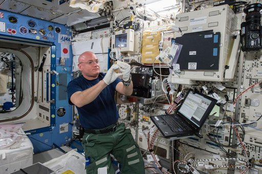 Study of the Effects of Spaceflight on the Aging of C. elegans (Space Aging)