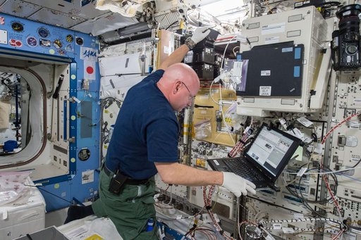 Study of the Effects of Spaceflight on the Aging of C. elegans (Space Aging)