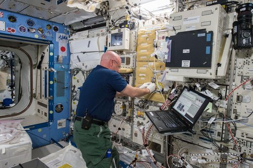 Study of the Effects of Spaceflight on the Aging of C. elegans (Space Aging)