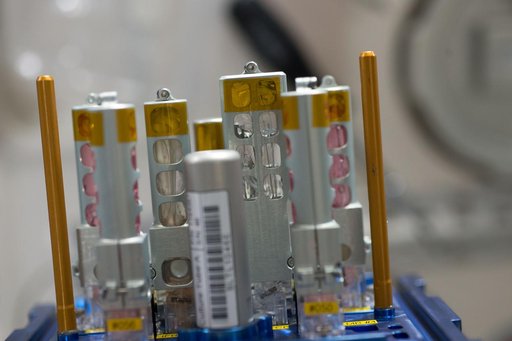 BIOLAB TRIPLELUX A EC Closeout