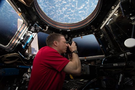 Virts in Cupola