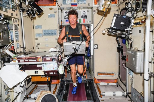 Padalka on TVIS