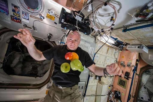 Kelly watches fruit float in the Node 1