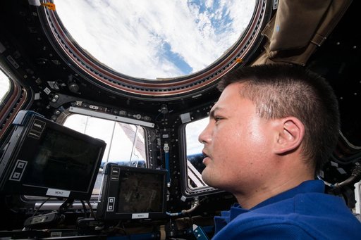 Lindgren in Cupola training with SSRMS controls