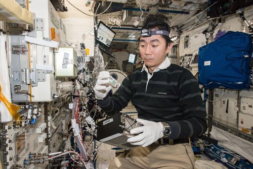 Plant Gravity Sensing 2 Experiment OPS