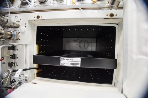 Heart Cells CO2 Incubator Controller Setup in SABL