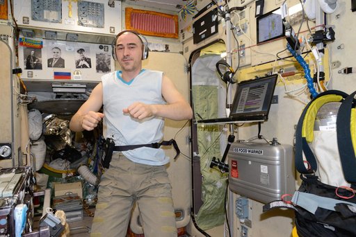 Ivanishin during Splanh (Splankh) Experiment OPS