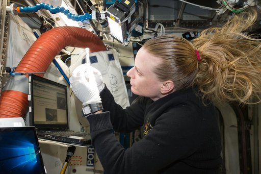 Rubins prepares Biomolecule Sequencer Experiment Sample Run 2
