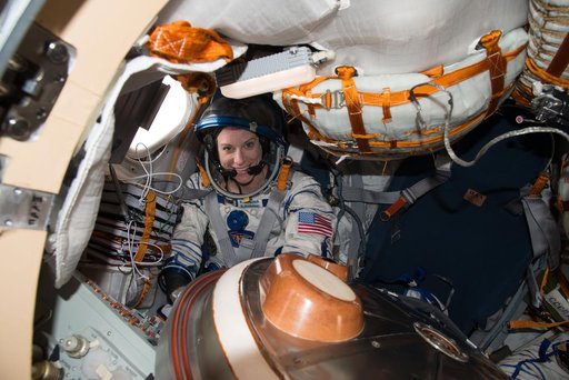 iss049e040733