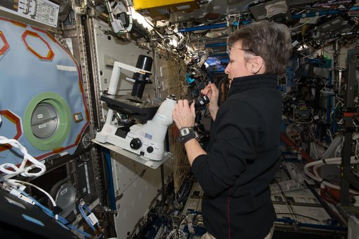 MESC Payload Setup