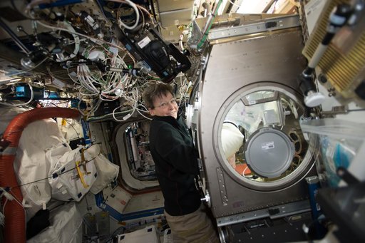 Microgravity Expanded Stem Cells Experiment