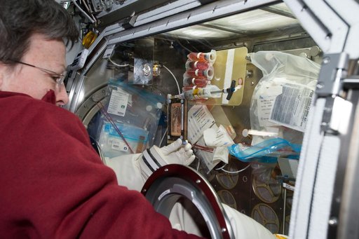 Whitson conducts OsteoOmics OPS in MSG