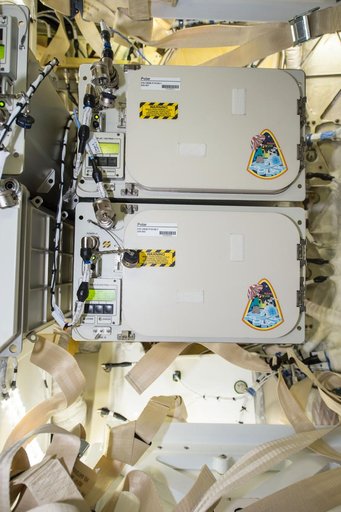 Polar 7