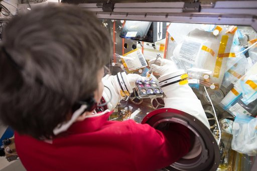 ADCs in Microgravity (CASIS)