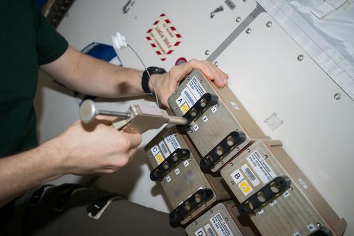 Biological Research in Canisters-22 (BRIC-22)