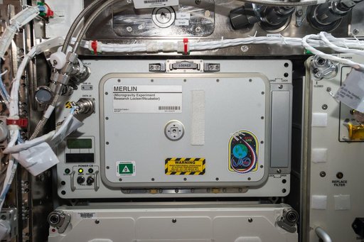 MERLIN Sample Transfer