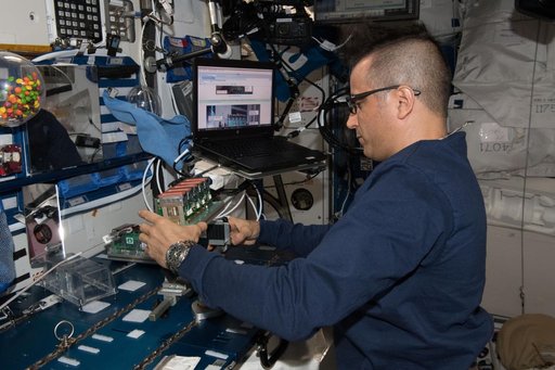 Acaba conducts Plant Gravity Perception Experiment OPS