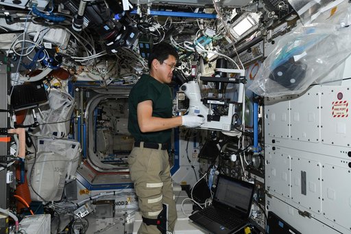 Synthetic Bone Microscope Operations