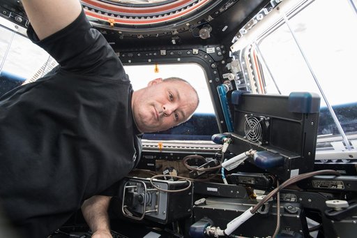 Tingle in Cupola module