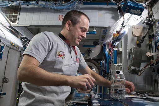 Genes in Space-5