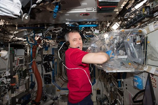iss055e036790