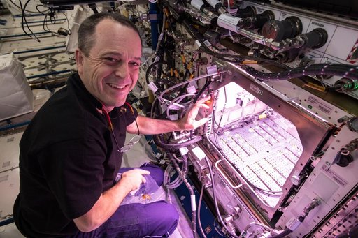 iss056e032034