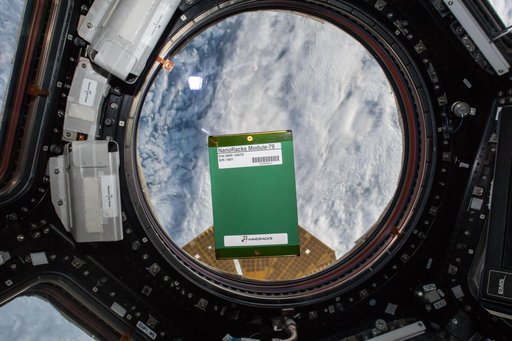 NanoRacks Module-79