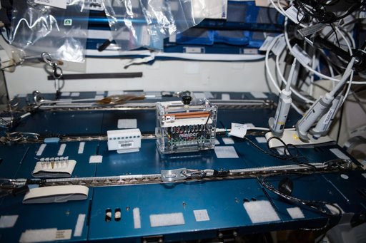 Biomolecule Extraction and Sequencing Technology (BEST)