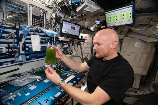 Space Algae Experiment Install