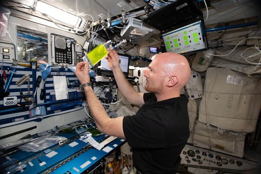 Space Algae Experiment Install