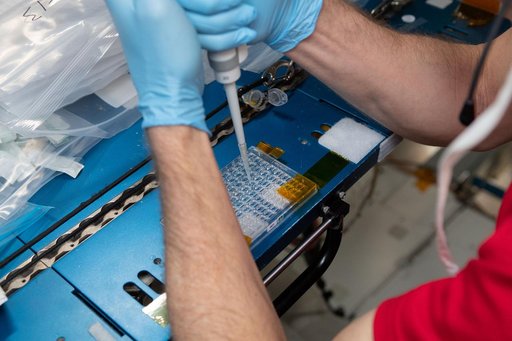 iss056e142859