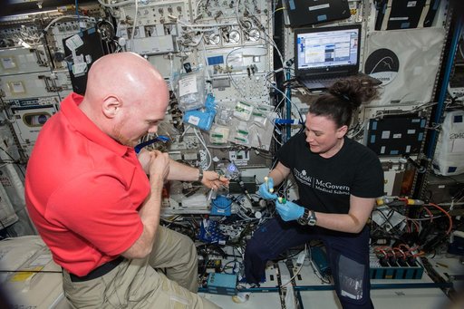 iss056e200803