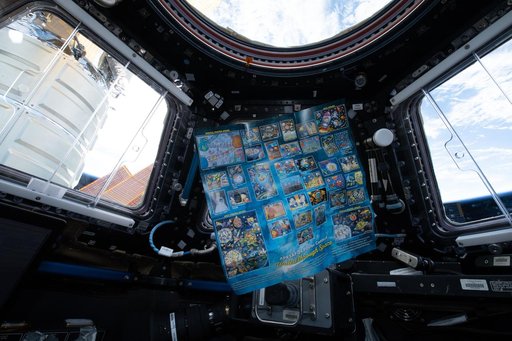 NanoRacks Module-48 Imagery