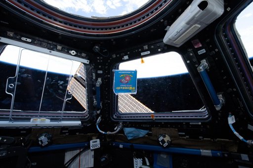 NanoRacks Module-48 Imagery