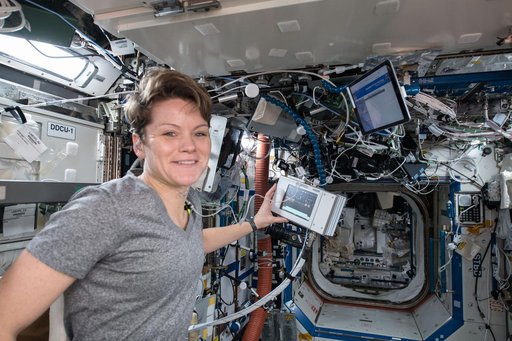 NASA astronaut Anne McClain